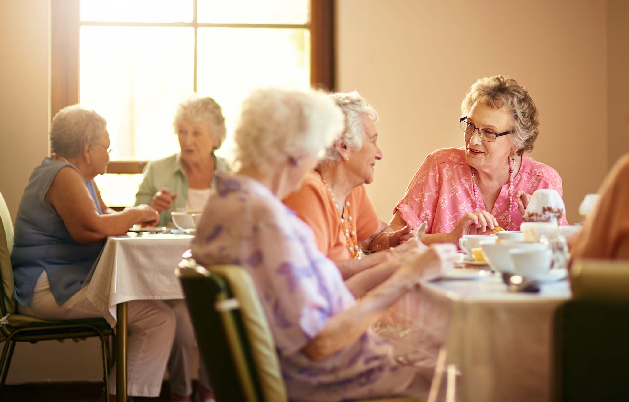 Laurel Cove Community independent living seniors enjoy the best amenities.