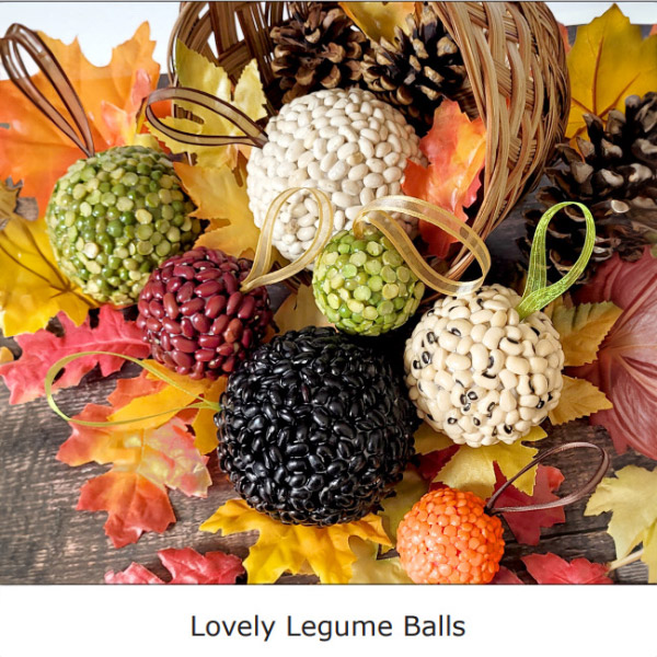 Memory Care Activity: Lovely Legume Balls